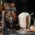 keurig/Gingerdead-Coffee-Bag-Death-Wish-Coffee_alt5