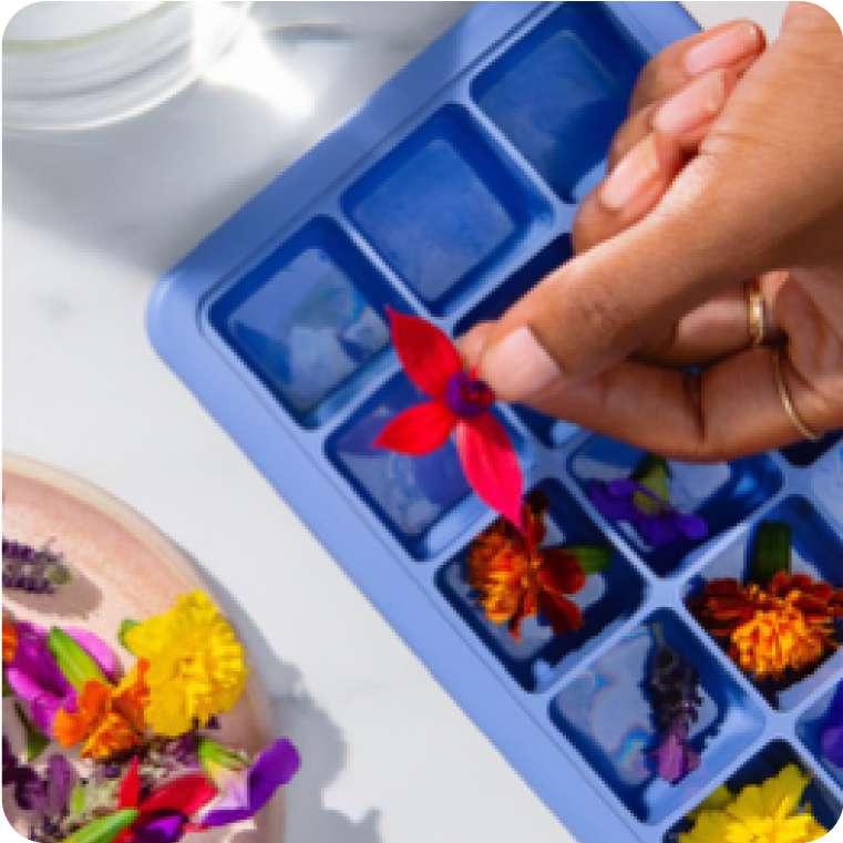 Give Your Iced Coffee an Upgrade with Flavoured Ice Cubes