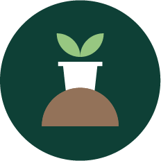 coffee pod with sprout icon